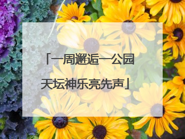 一周邂逅一公园 天坛神乐亮先声