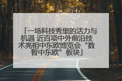 一场科技秀里的活力与机遇 近百项中外前沿技术亮相中东欧博览会“数智中东欧”板块