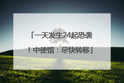 一天发生24起恐袭！中使馆：尽快转移