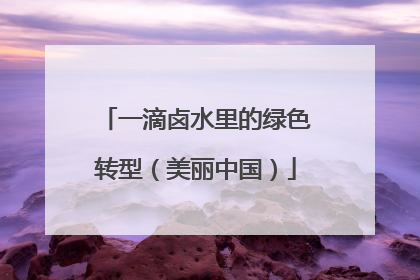 一滴卤水里的绿色转型（美丽中国）