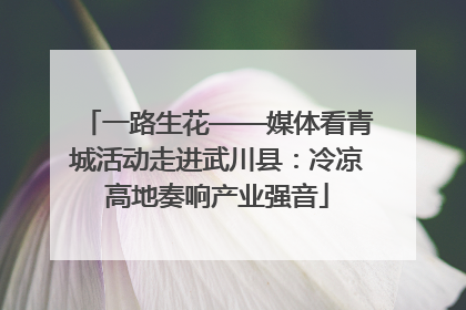 一路生花——媒体看青城活动走进武川县：冷凉高地奏响产业强音
