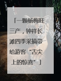 一颗杨梅旺三产，钟祥长滩四季采摘带给游客“舌尖上的惊喜”