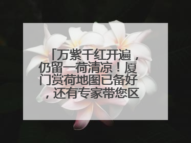 万紫千红开遍，仍留一荷清凉！厦门赏荷地图已备好，还有专家带您区分荷与莲→