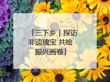 三下乡｜探访非遗瑰宝 共绘振兴画卷