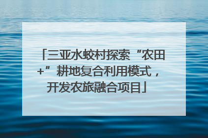 三亚水蛟村探索“农田+”耕地复合利用模式，开发农旅融合项目