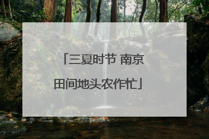 三夏时节 南京田间地头农作忙