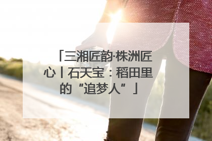 三湘匠韵·株洲匠心丨石天宝：稻田里的“追梦人”