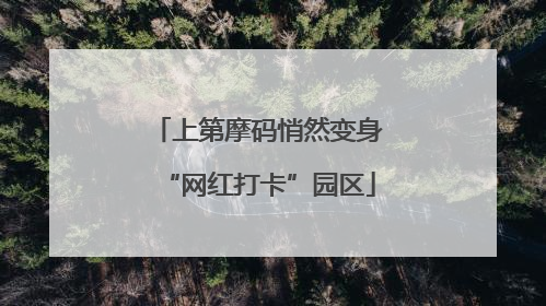 上第摩码悄然变身“网红打卡”园区