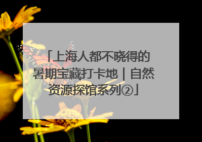 上海人都不晓得的 暑期宝藏打卡地｜自然资源探馆系列②