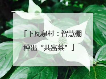 下瓦泉村：智慧棚种出“共富菜”