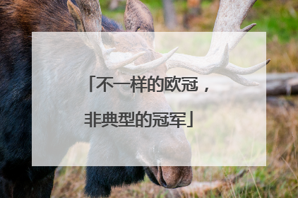 不一样的欧冠，非典型的冠军