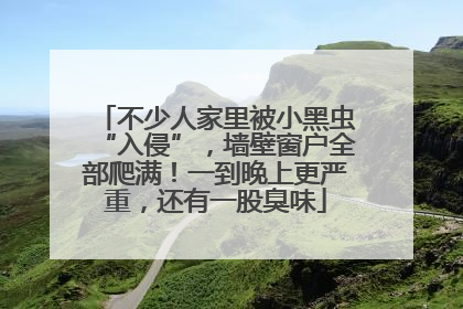 不少人家里被小黑虫“入侵”，墙壁窗户全部爬满！一到晚上更严重，还有一股臭味