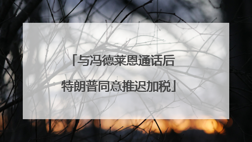 与冯德莱恩通话后 特朗普同意推迟加税