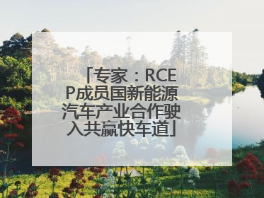 专家：RCEP成员国新能源汽车产业合作驶入共赢快车道