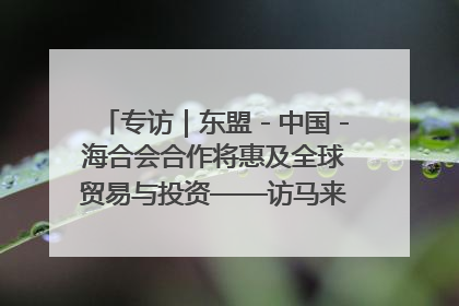 专访｜东盟－中国－海合会合作将惠及全球贸易与投资——访马来西亚亚太“一带一路”共策会高级研究员本恩·纳戈拉