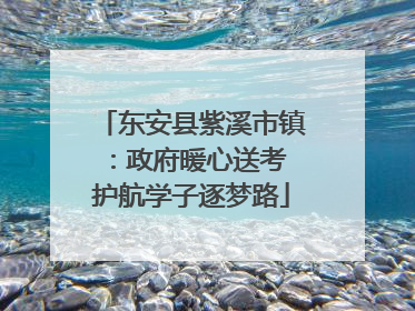 东安县紫溪市镇：政府暖心送考 护航学子逐梦路