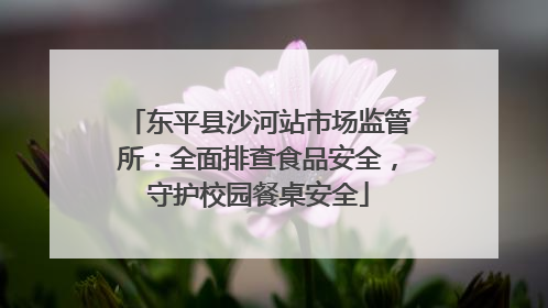 东平县沙河站市场监管所：全面排查食品安全，守护校园餐桌安全