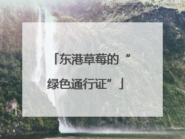 东港草莓的“绿色通行证”