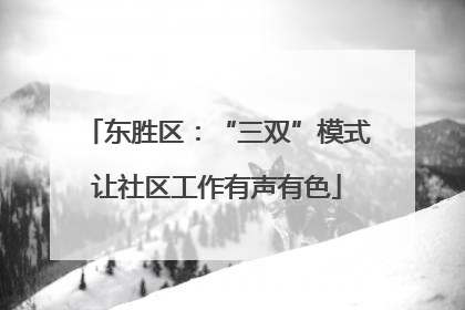 东胜区：“三双”模式让社区工作有声有色