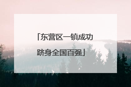 东营区一镇成功跻身全国百强