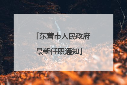 东营市人民政府最新任职通知