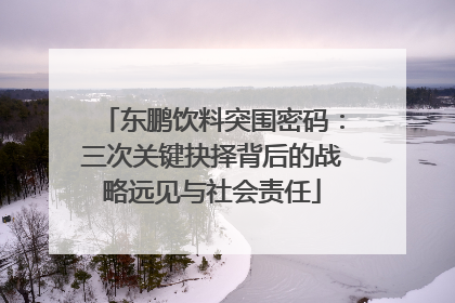 东鹏饮料突围密码：三次关键抉择背后的战略远见与社会责任