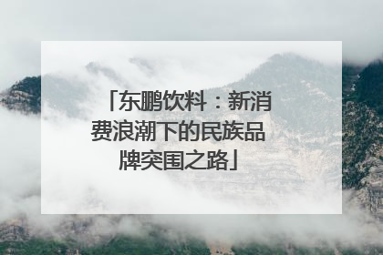 东鹏饮料：新消费浪潮下的民族品牌突围之路