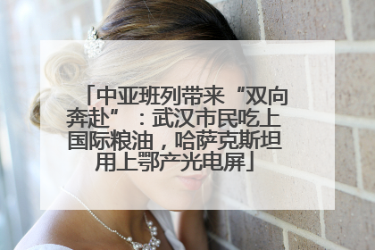 中亚班列带来“双向奔赴”：武汉市民吃上国际粮油，哈萨克斯坦用上鄂产光电屏