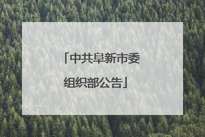 中共阜新市委组织部公告