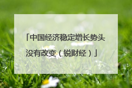 中国经济稳定增长势头没有改变（锐财经）