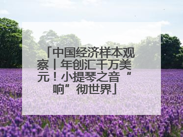 中国经济样本观察丨年创汇千万美元！小提琴之音“响”彻世界