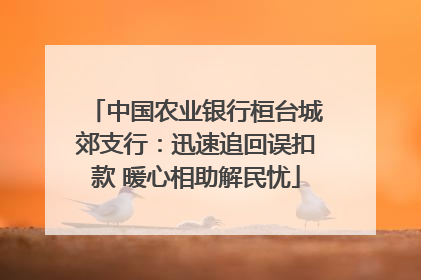 中国农业银行桓台城郊支行：迅速追回误扣款 暖心相助解民忧