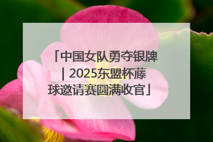 中国女队勇夺银牌｜2025东盟杯藤球邀请赛圆满收官