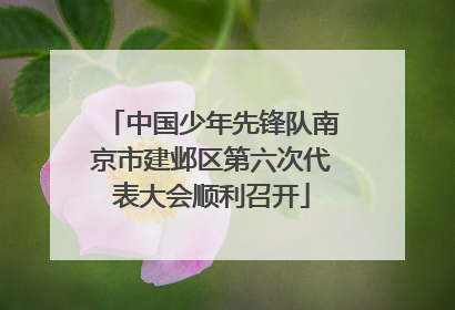 中国少年先锋队南京市建邺区第六次代表大会顺利召开