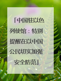 中国驻以色列使馆：特别提醒在以中国公民切实加强安全防范