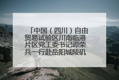 中国（四川）自由贸易试验区川南临港片区党工委书记谭荣兵一行赴岳阳城陵矶综保区考察