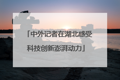中外记者在湖北感受科技创新澎湃动力