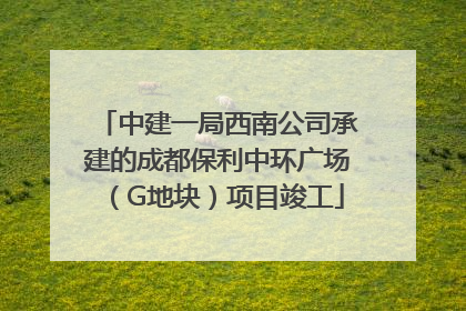 中建一局西南公司承建的成都保利中环广场（G地块）项目竣工