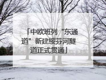 中欧班列“东通道”新建绥芬河隧道正式贯通