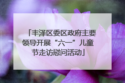 丰泽区委区政府主要领导开展“六一”儿童节走访慰问活动