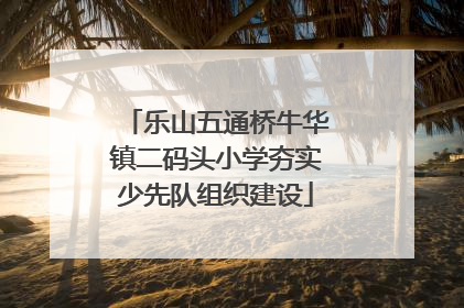 乐山五通桥牛华镇二码头小学夯实少先队组织建设