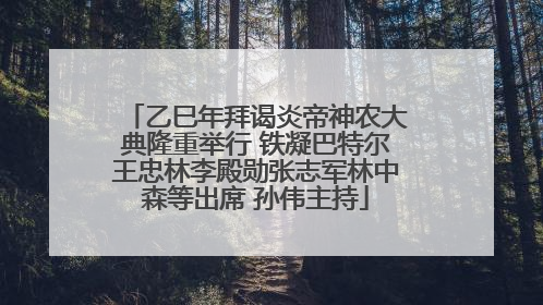 乙巳年拜谒炎帝神农大典隆重举行 铁凝巴特尔王忠林李殿勋张志军林中森等出席 孙伟主持