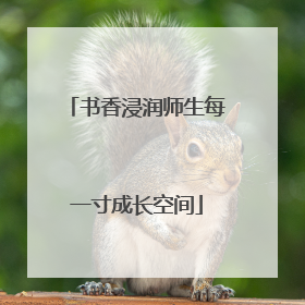 书香浸润师生每一寸成长空间