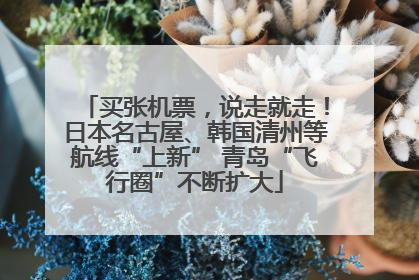 买张机票，说走就走！日本名古屋、韩国清州等航线“上新” 青岛“飞行圈”不断扩大