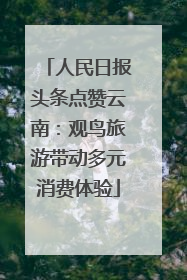 人民日报头条点赞云南：观鸟旅游带动多元消费体验