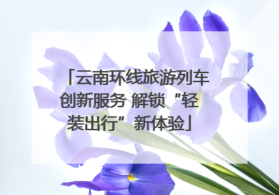 云南环线旅游列车创新服务 解锁“轻装出行”新体验