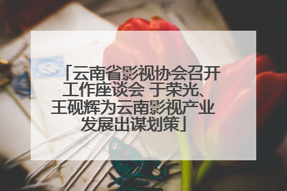 云南省影视协会召开工作座谈会 于荣光、王砚辉为云南影视产业发展出谋划策