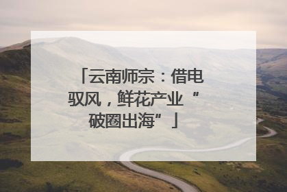 云南师宗：借电驭风，鲜花产业“破圈出海”