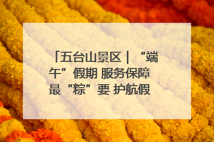五台山景区｜“端午”假期 服务保障最“粽”要 护航假期“不打烊”