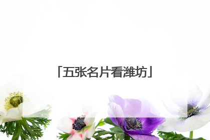 五张名片看潍坊